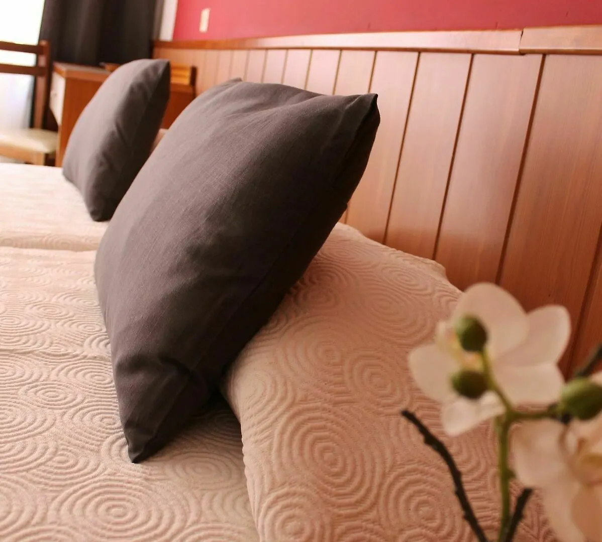 Hostal Regina Blanes
